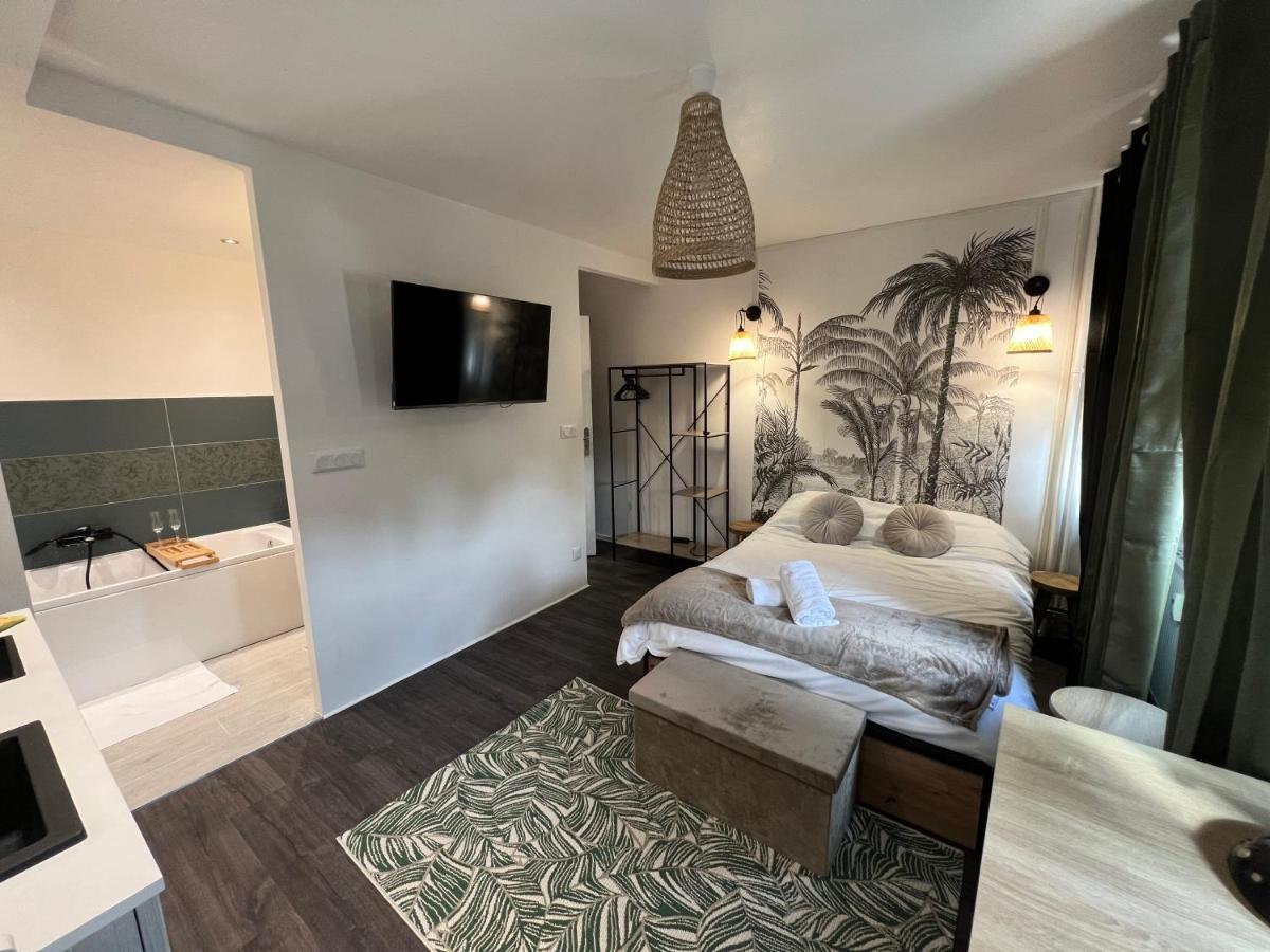 L'Ancillon Metz Gare Wifi Un-Sejour-A-Part Apartment Luaran gambar